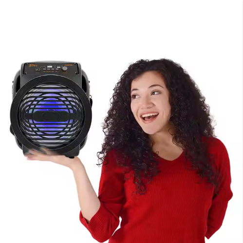 Speaker ZQS8153 - Image 5