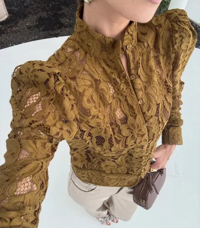 2026 Spring New See Through Lace Shirt Women Solid O Neck Long Sleeve Single Breasted Shirts Fashion New Female Blouse Tops - AliExpress 200000345
